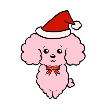 ピンクのクリスマストイプードル（サンタ帽）