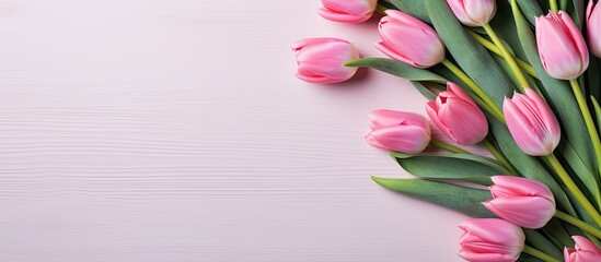 Women s Day on 8 with pink high heel shoes tulips corner background isolated with shadows and sample text