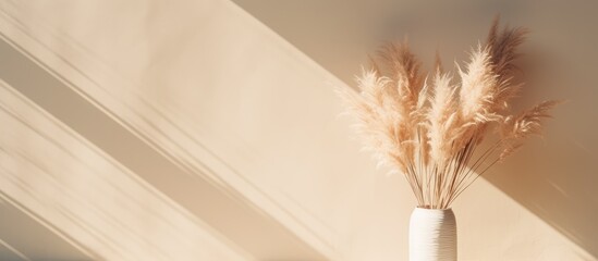 Beautiful shades of neutral pampas grass and reeds makes for an aesthetic background with sunlight casting shadows on the wall giving off Parisian vibes - obrazy, fototapety, plakaty