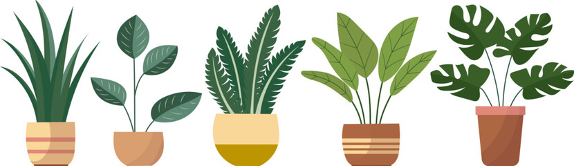 indoor plants in flat style on white background, vector