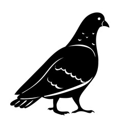 dove silhouette on a white background,vector