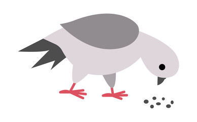 Pigeon pecking seeds. City bird vector illustration. Cute character icon isolated on white background. French symbol picture.