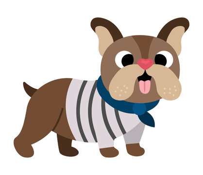 Bulldog in scarf and stripy shirt. Domestic animal vector illustration. Cute dog character icon isolated on white background. French symbol picture.