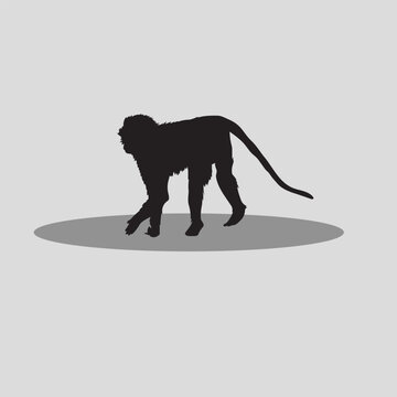 Monkey vector image