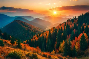 Zelfklevend Fotobehang Mistige ochtendstond sunset in the mountains