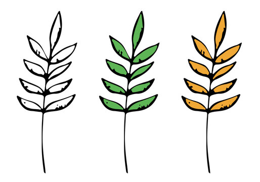 Branch with green and yellow leaves. Picture for coloring. Branch drawn in sketch style. Vector clipart.