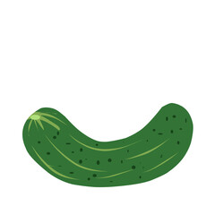 Cucumber Vector Illustration 