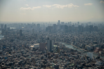 Fototapeta premium 東京スカイツリーからの景色