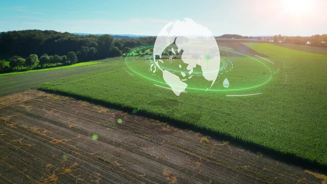 Rotating green 3D render globe as concept for climate protection and ecology on agricultural cornfield