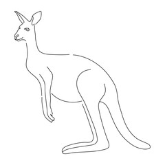 Kangaroo in doodle style. Icons sketch hand made. Vector editable stroke.