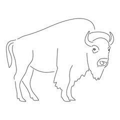 Bison illustration in hand drawn design. Vector editable stroke.