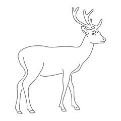 Deer illustration in hand drawn design. Vector editable stroke.