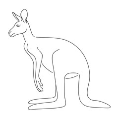 Kangaroo illustration in hand drawn design. Vector editable stroke.