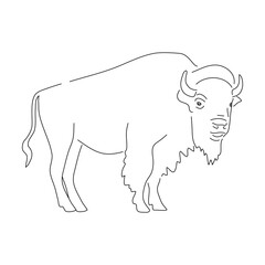 Bison in doodle style. Icons sketch hand made. Vector editable stroke.