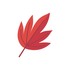 Beautiful leaf composition. Leaves change color in autumn