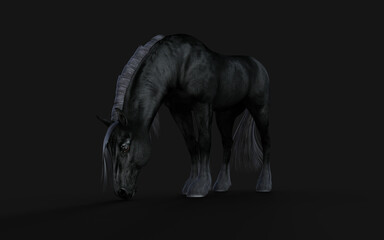 3d Illustration of Black horse with black mane on black background with clipping path.