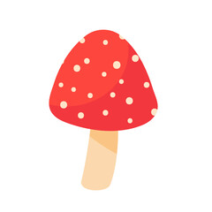 Mushrooms caused by fungi Harvest season at Thanksgiving