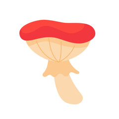 Mushrooms caused by fungi Harvest season at Thanksgiving