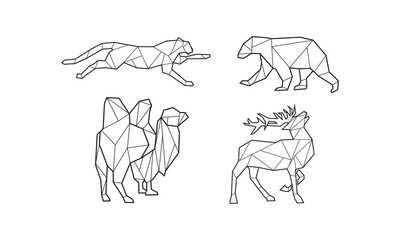 bear cemal bear tiger logo