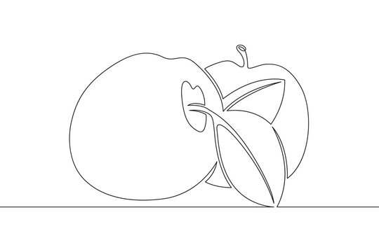Fresh ripe beautiful apples. New harvest. One continuous line. Linear. Hand drawn, white background.