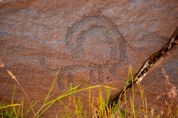 Obraz premium Petroglyphs on the rocks in Kazakhstan. The ancient parking cave man. Historical cave paintings. Carved on stone images of deer, goats and wolves. The development of ancient peoples.