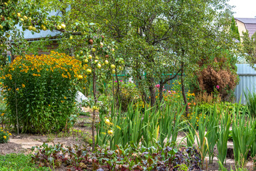 Part of the garden with apple trees, flowers and vegetable beds.