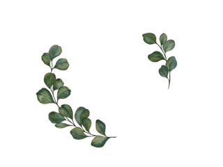 Eucalyptus circle wreath, green leaves branches isolated on white,  Minimalist greenery botanical leaves,  Wedding logo gentle round border design