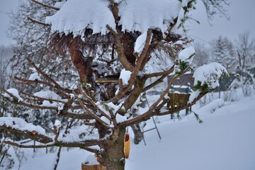 Detail of feeder for wildlife birds in snowy winter 
