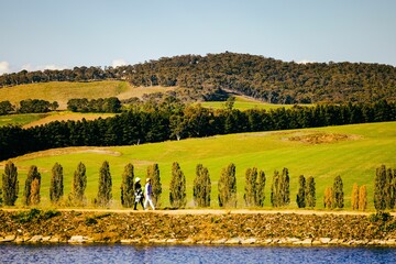 Two women walking and enjoying the beautiful green landscape on an outdoor path