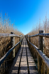 Wooden bridge over the river