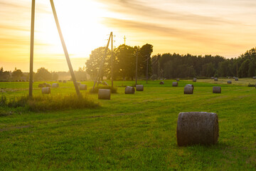 Hay bales in a field