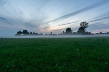 Evening fog over field