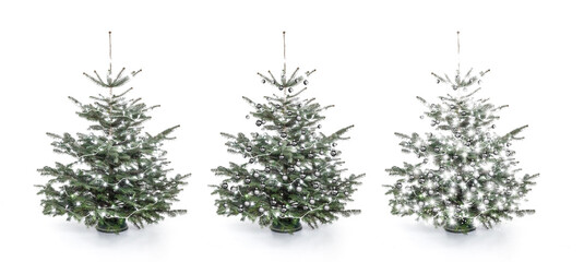 Bunt geschmückter Weihnachtsbaum mit Lichterkette
