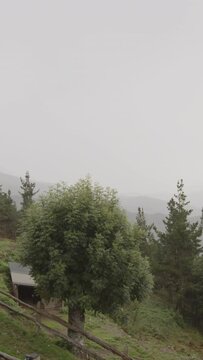 Vista desde un ventanal hacia una monta&ntilde;a cubierta de &aacute;rboles frondosos bajo un cielo nublado y lluvioso. Captura la esencia de la naturaleza en su estado m&aacute;s puro y melanc&oacute;lico