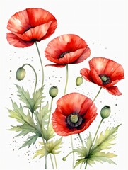 Watercolor Pop Flowers By Artist Julia