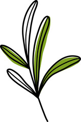 Obraz premium lily of the valley isolated