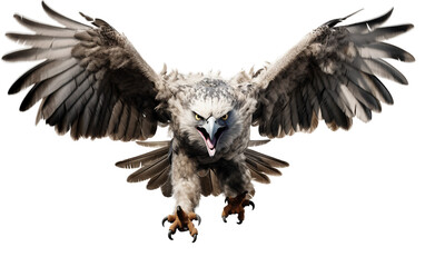 Powerful Harpy Eagle Bird is Flying Isolated on Transparent Background PNG. Generative AI