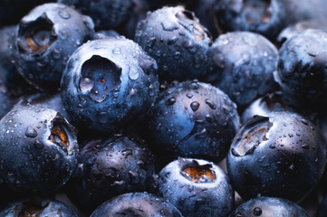 Wet fresh blueberries background. Studio macro photography. Fresh blueberries with water drops