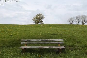Landschaft im Schwarzwald in der nähe von Hofsgrund