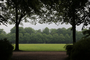 Hamburger Stadtpark im Nebel im Sommer