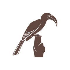 Malabar Grey Hornbill vector illustration design. Malabar Grey Hornbill Silhouette. Hornbill design template. © shuttersport