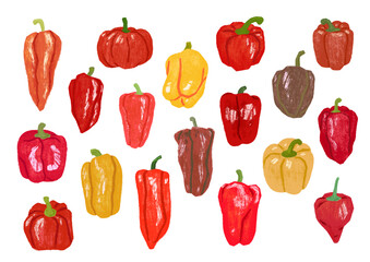 Various bell pepper hand drawn set