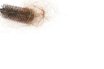 Hair loss in comb, hair fall everyday serious problem, on white background.