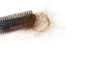 Hair loss in comb, hair fall everyday serious problem, on white background.