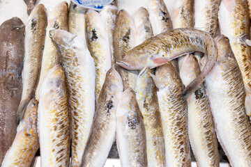 Vibrant fish market in Málaga, Andalusia - a seafood paradise showcasing fresh catches and local flavors