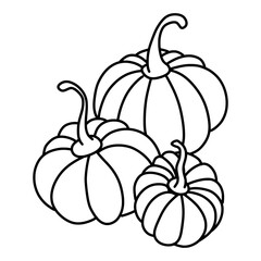 sketch of pumpkin