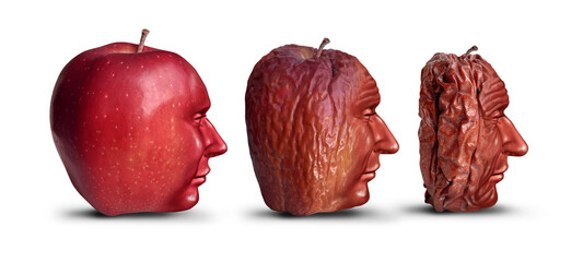 Ageing and Aging Process as a new fresh ripe red apple decomposing and getting old and wrinkled representing humans and age progression or elderly and geriatrics issues