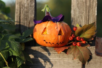 halloween pumpkin on a table