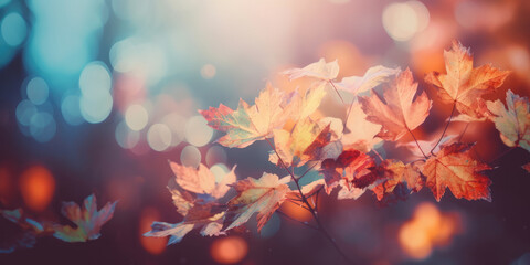 Naklejka na ściany i meble Autumn Leaves Background. Golden, Yellow and Orange Maple Leaves on a blurred fall background
