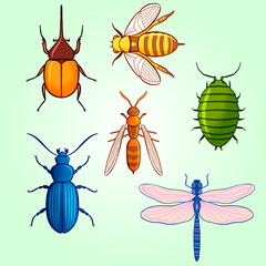 collection of insects set beetle